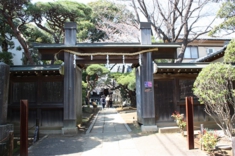 良く晴れた暖かい日