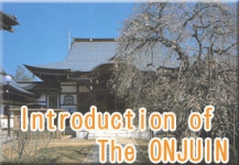 Introduction of The ONJUIN