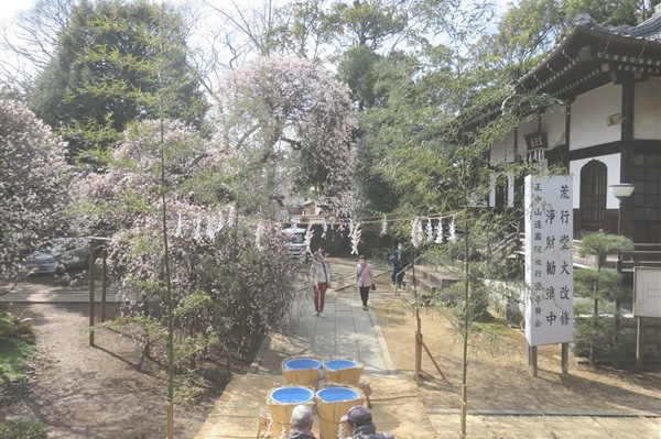 参詣者も集まり始めました