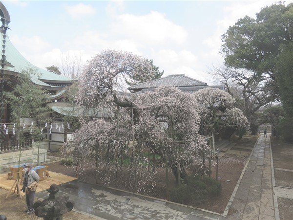 水行後のひと時